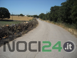 08-18-rovi-sarmenzano