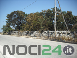 08-22-incendio-c.da-caprio