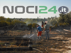 08-25-rogo-aiuola-scotellaro