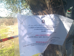 12-12-sequestro-cfs-bari