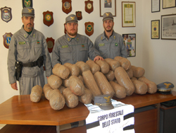 12-13-droga-cesine