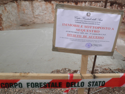 12-13-sequestro-forestale-p