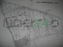 07-25-nuove-vie-small