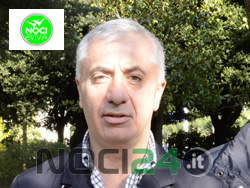 11-28-nicola-lamanna