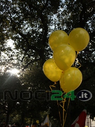 01-24Ilgiallo