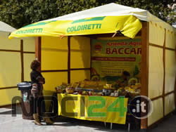 03-19-xv-spaccanoci-campagna-amica