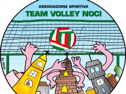 Logo Team Volley