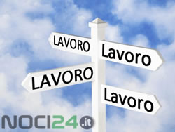 04-11-orientamento-lavoro