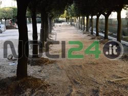 06-16-lecci