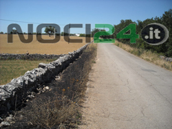 06-17-ciglio-sermenzano