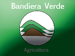 11-17-bandiera verde 2012