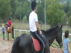 11-16-ippoterapia