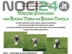 04-10-erbe-selvatiche-1