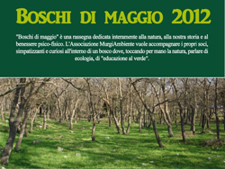 05-04-boschi-maggio-front