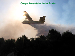 forestale-canadair