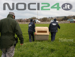 02-13-trasportino-lupo