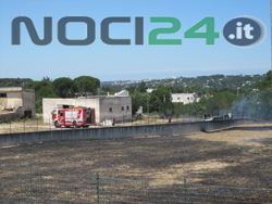 07-03-area-rogo-boario
