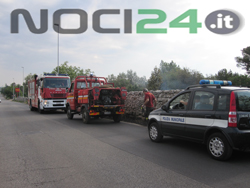 07-18-vvf-incendio