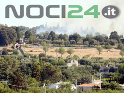 08-09-rogo-karusio