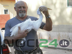 09-27-airone-ofr