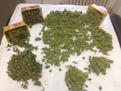 10-10-Marijuana-Castellana