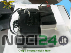 11-12-antibracconaggio-2