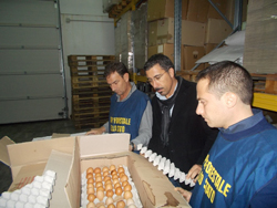 11-14-uova-cfs