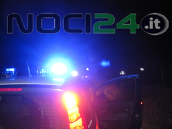 11-15-soccorsi-vitello