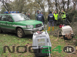 12-04-operazione-estrazione