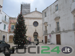 12-11-albero-piazza-plebiscito