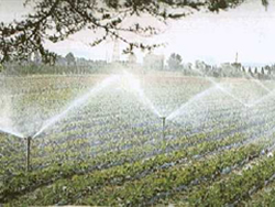 06-05-irrigazione