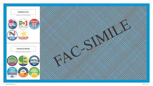 06-09-fac-simile-scheda-large