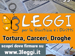 08-11-3leggi