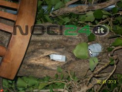 01-26interruttore