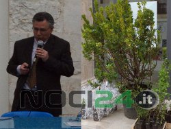 04-29tinelliterredellenoci