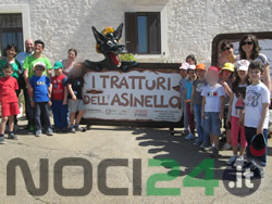 07-12-asinelli