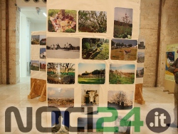 09-02patrimonioboschivo