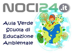 11-06-volantino-Scuola-fron