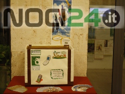 11-25raccoltacellulari