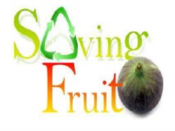 05-14 logo saving fruit