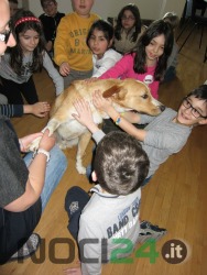 07-11 la magia di pet 3