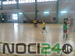 11-19-sport