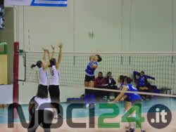 team