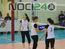 12-14 team volley noci