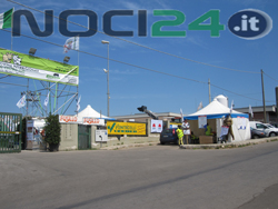 04-23-forconi-mostra-bovina
