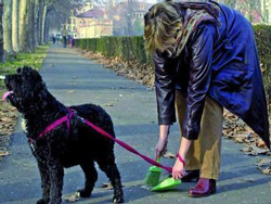 05-08-raccolta-escrementi-cane