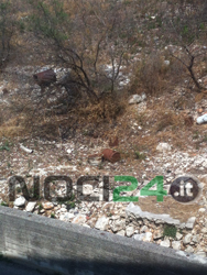 08-24-rifiuti-rogo