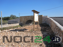 11-18-ponte-fse-aperto