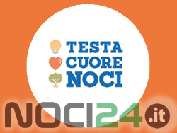 logo-testa-cuore-noci