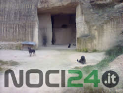 01-02-pregiudicato